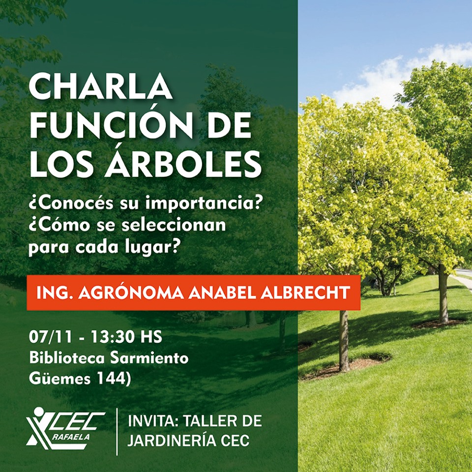 CHARLA: LA FUNCIÓN DE LOS ÁRBOLES