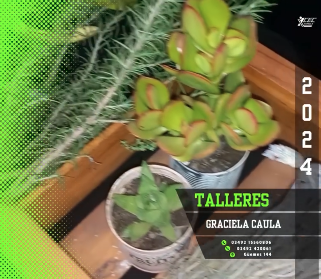 TALLERES 2024